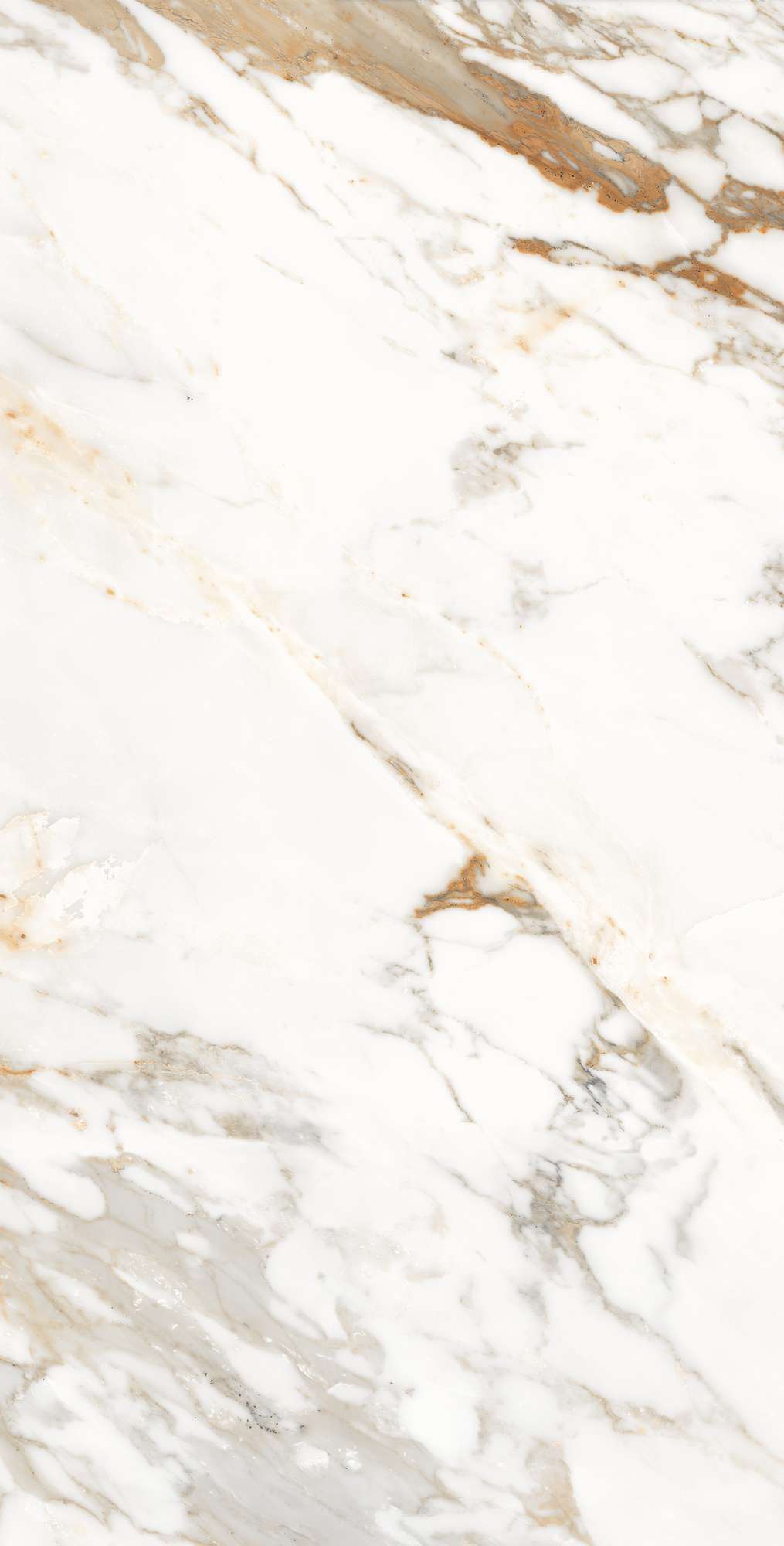 CALACATTA ORO — Элегантность мрамора в вашем интерьере FP1006-A Arcadia Ceramica - Вид №7