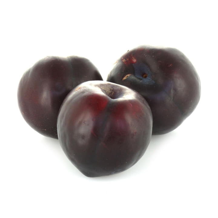 Слива Черная Отборная Santreyd 18798 - Вид №1