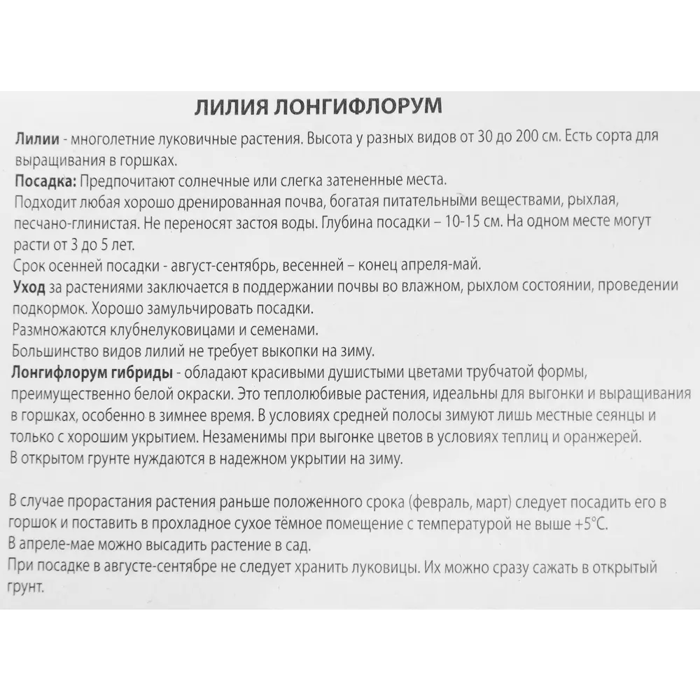 Лилия лонгифлорум Уорлд Трейд 85205732 STLM-2004384 ПОИСК  - Вид №2