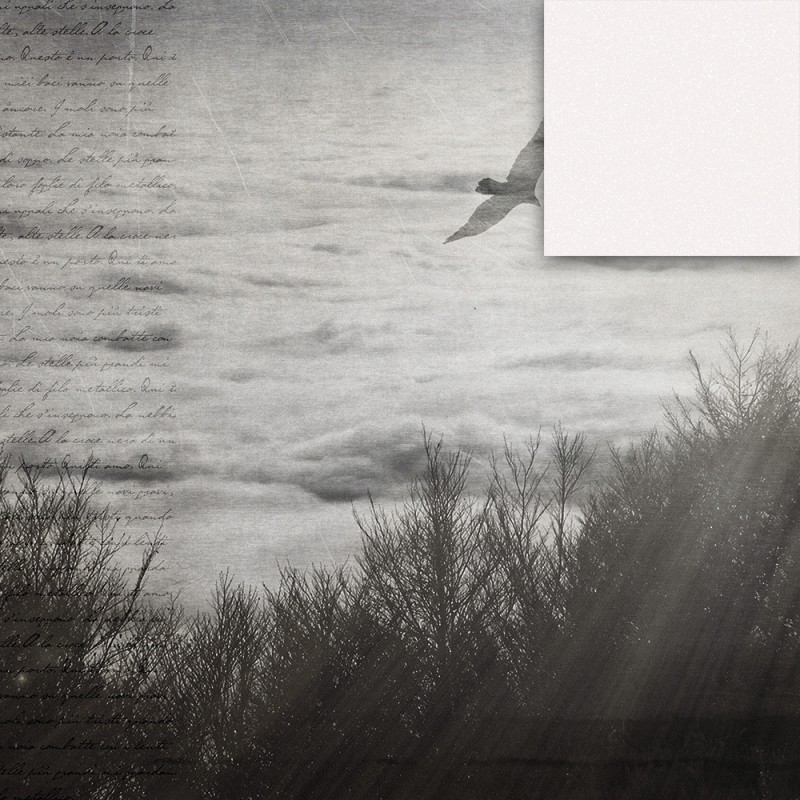 WP02008A Обои декоративные Adriani e Rossi  - Вид №3