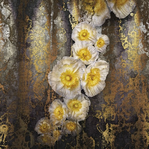 8-963-Serafina Фотообои Komar Imagine Edition 2 254х368 м 8963SERAFINA