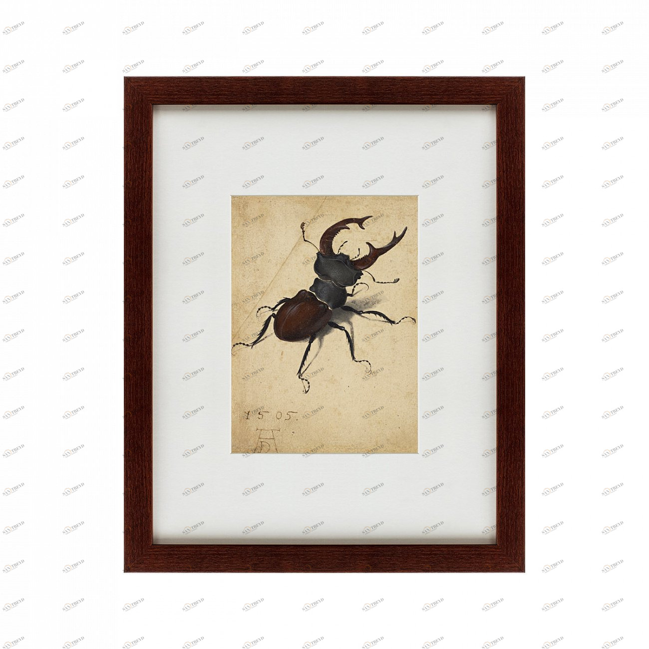 Картина: Stag Beetle, 1505 КАРТИНЫ В КВАРТИРУ  135745 Разноцветный 
