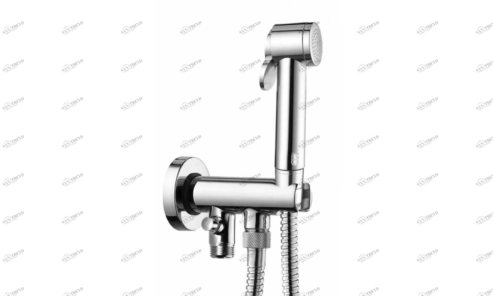 C89001 Гигиеническая лейка Paloma BOSSINI 