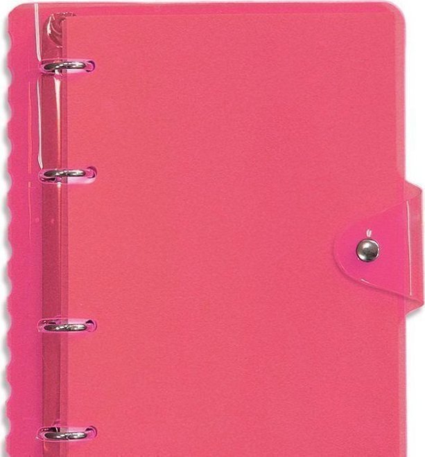 436019 Тетрадь "" с кольцевым механизмом А5 розовая Neon Santreyd