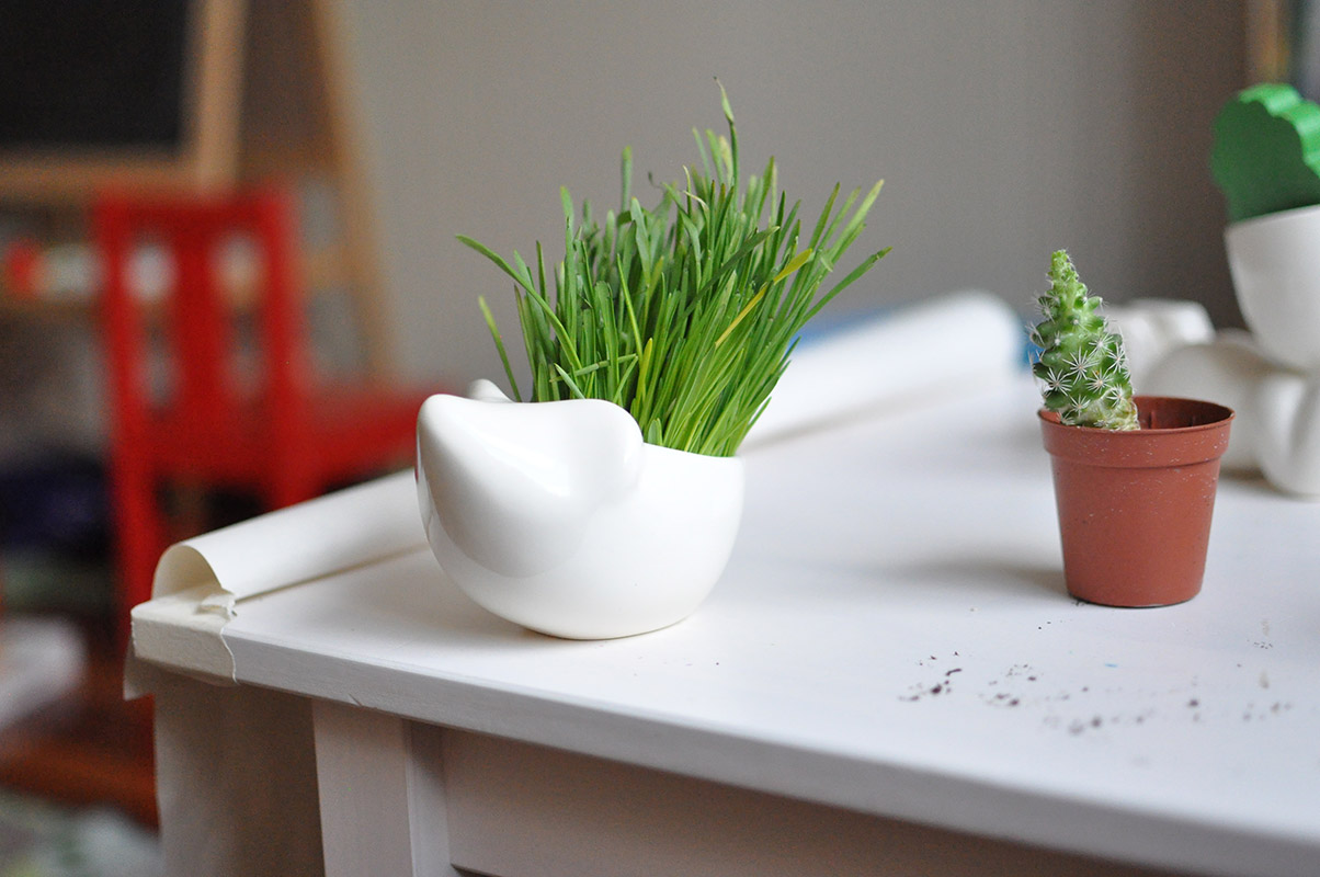 Набор для выращивания eco "Ёжик" ЭКОЧЕЛОВЕКИ  254569 Белый  - Вид №1