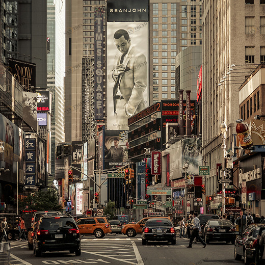 C1-050 Фотообои DIVINO Collection C 2.7х3 м C1050