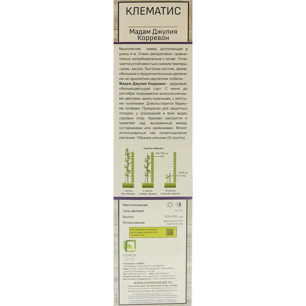 Клематис Мадам Джулия Корревон ø9 h39 см 83738688 STLM-2182180 Santreyd  - Вид №2