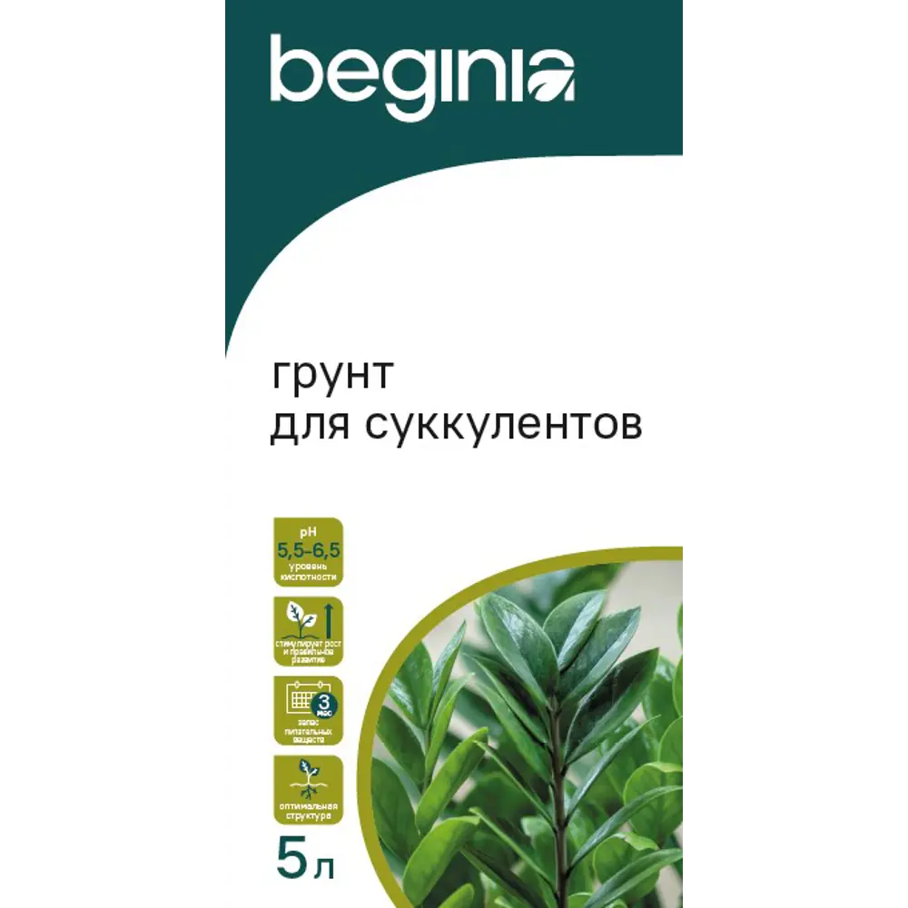 Грунт BEGINIA для замиокулькаса и суккулентов 5 л 89402258 STLM-2079675 