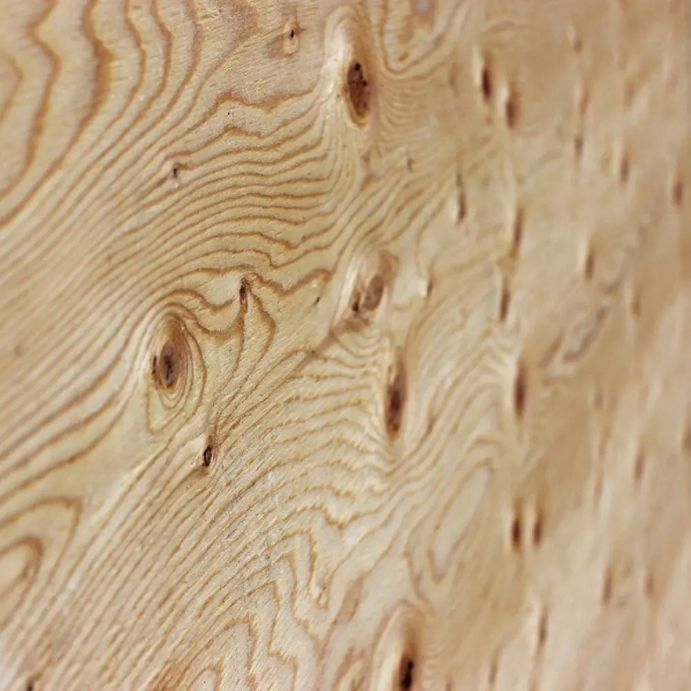 Santreyd Влагостойкая фанера ФСФ 15 мм для наружных работ 2440х1220 мм 82366657 STLM-0025566 - Вид №1