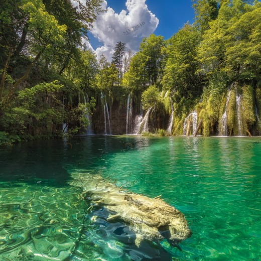 8-533-Eden-Falls Фотообои Komar Vol.15 3.68х2.54 м 8533EDENFALLS