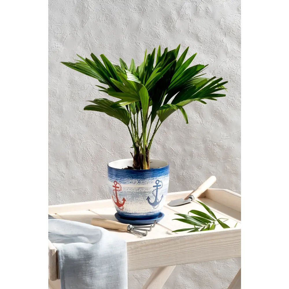 Инструм-Агро: Набор для ухода за растениями с лопатками и рыхлителем 14381115 STLM-0004832 - Вид №6