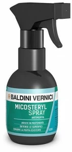 BALDINI VERNICI Спрей против плесени на основе концентрированного хлора