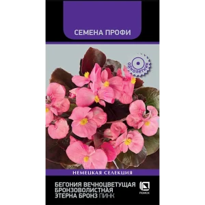 Бегония вечноцветущая Бронз Пинк от ПОИСК - рубиново-красный букет в бронзовой оправе 89401252