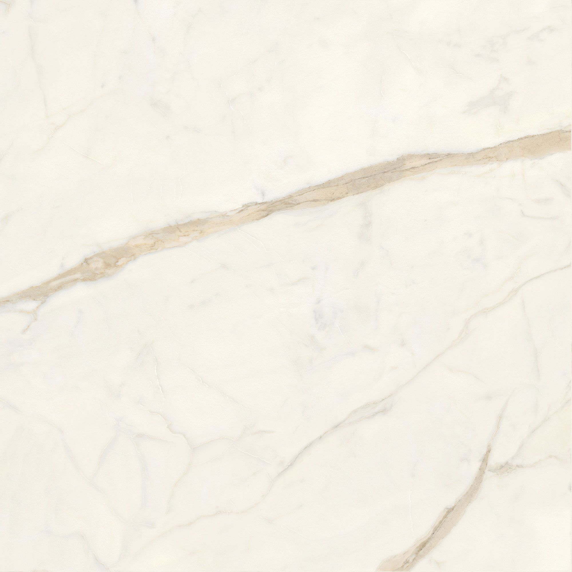 Пол / керамогранит с мраморным эффектом Italgraniti Marble Touch ARCH-00062183 - Вид №18