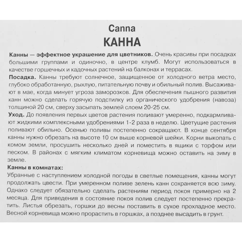 Канна карликовая Хэппи Изабель ПОИСК STLM-2086647 - Вид №2