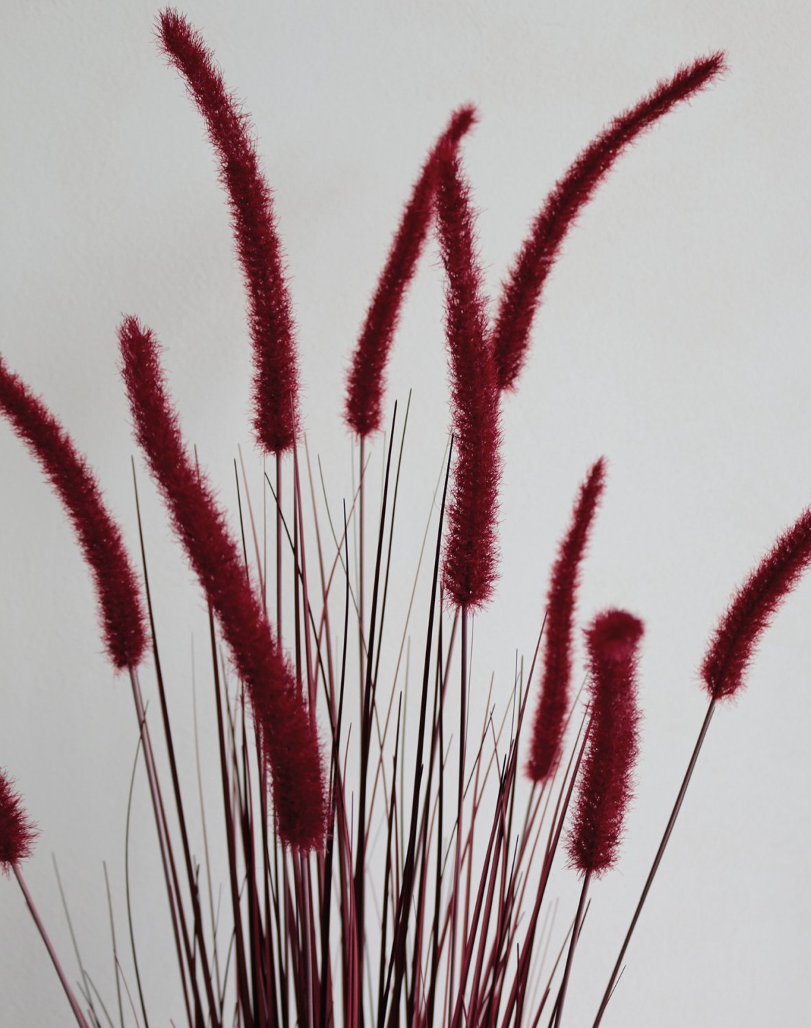 4869 498 a3 Искусственный пучок травы 'Chinese fountain grass' в горшке, 120 см, бордово-зеленый H-andreas  - Вид №12