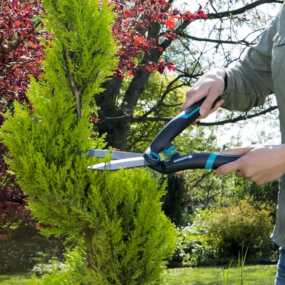 Ножницы садовые Gardena PrecisionCut Boxwood для кустарников 82504759 STLM-2142446  - Вид №9