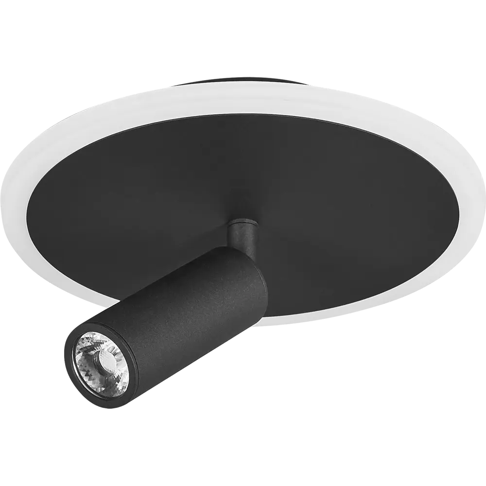 Светильник потолочный 20046SMA/01 цвет черный Escada STLM-2181091 - Вид №1