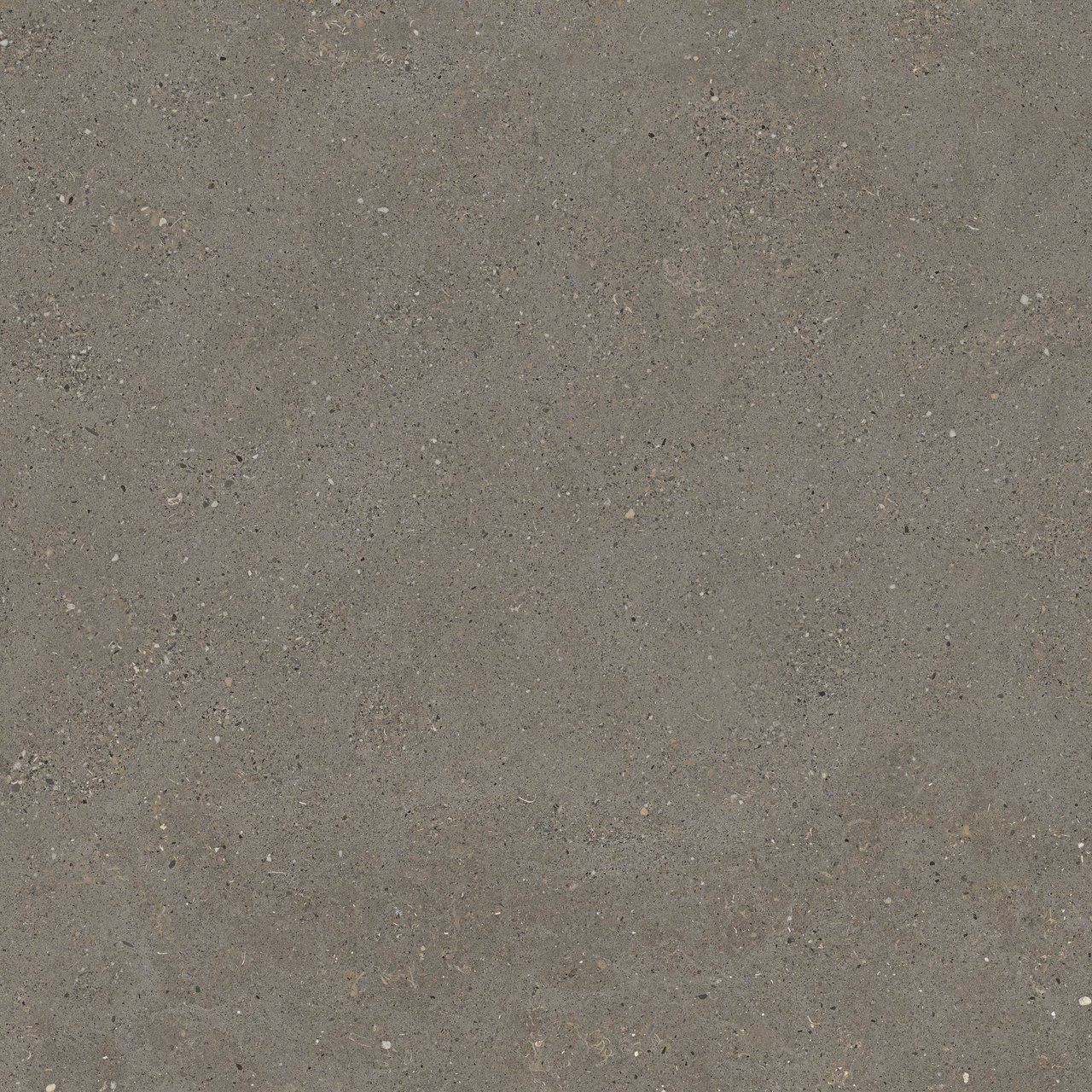 Пол / облицовка керамогранита с эффектом камня Fiandre сплошная ARCH-00087079 - Вид №18