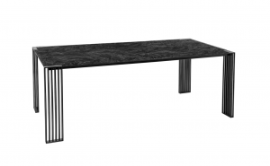 Стол  MINOTTI XY-200