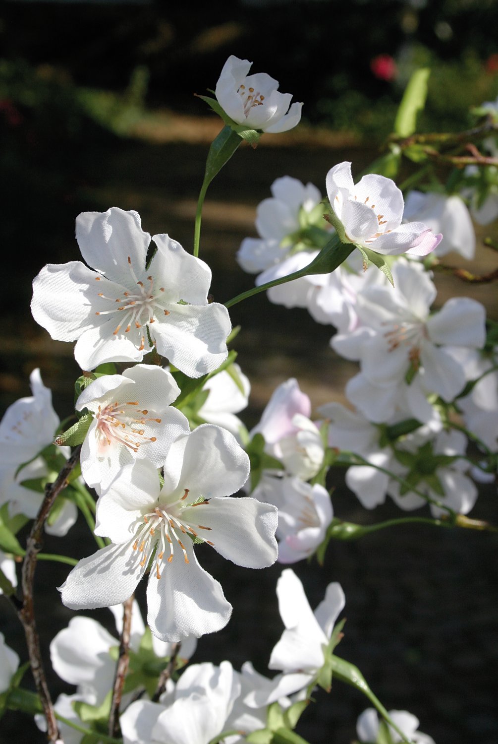 5501 778 a3 Пластиковая груша в горшке, 160 см, бежево-белая H-andreas  - Вид №1
