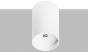 Flexalighting Потолочный светильник