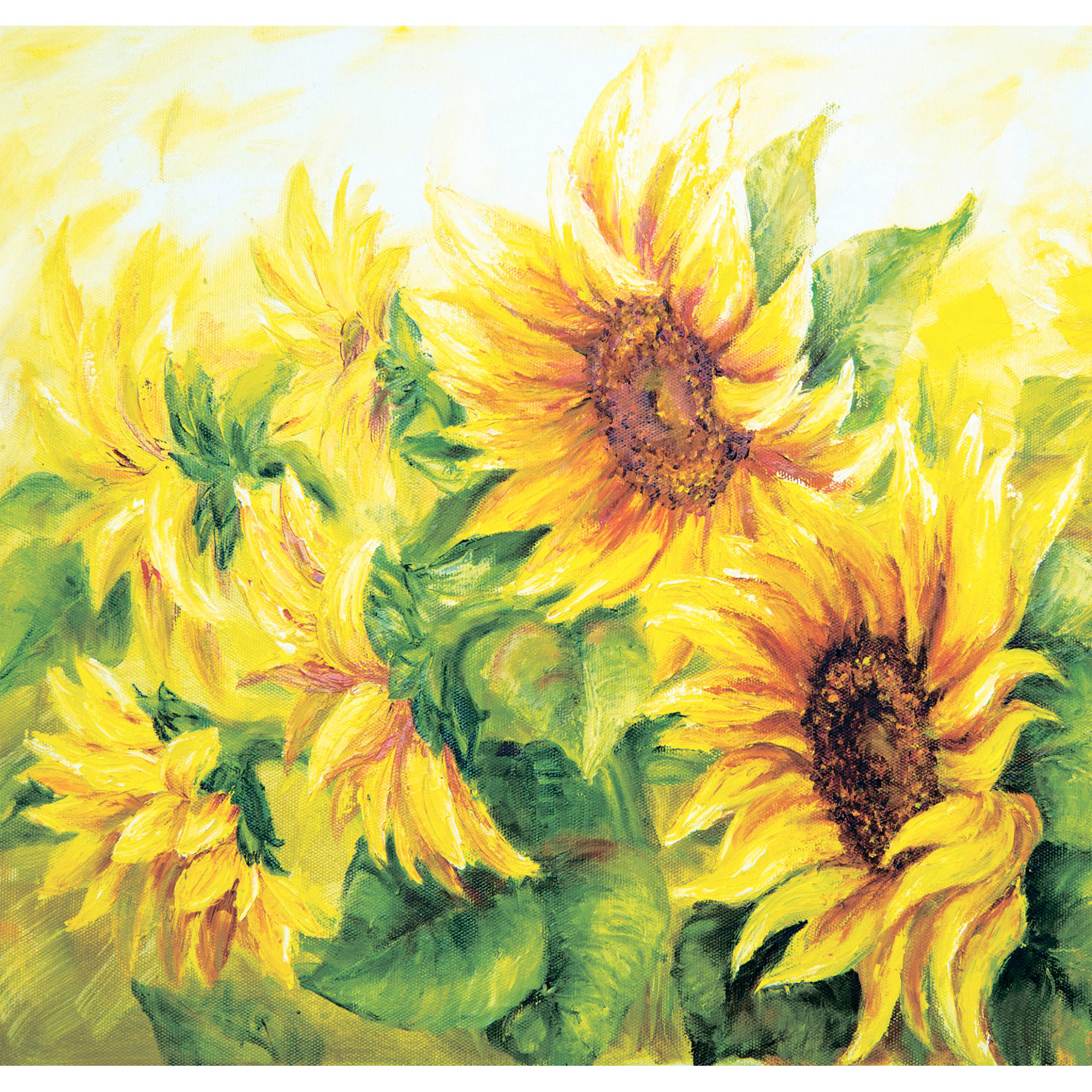 81956613 Фотообои «» 210х200 см Подсолнухи Santreyd 