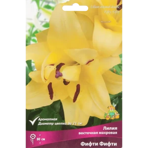 Лилия восточная Мах Фифти 85205754 STLM-2014531