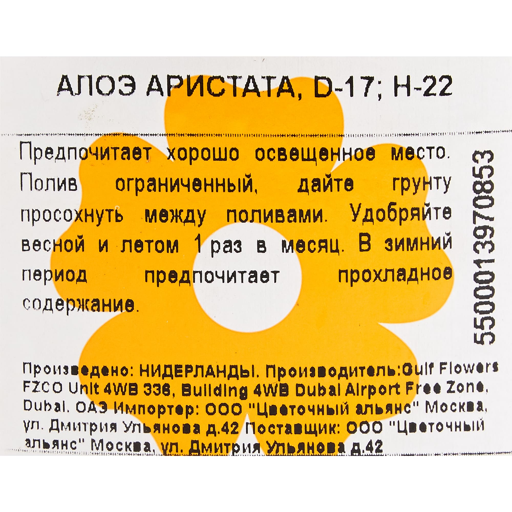 82850437 Алоэ Аристата 17х22 см Santreyd  - Вид №2