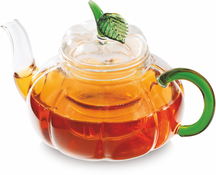 VX3204 Чайник заварной Стекляный Santreyd Россия 