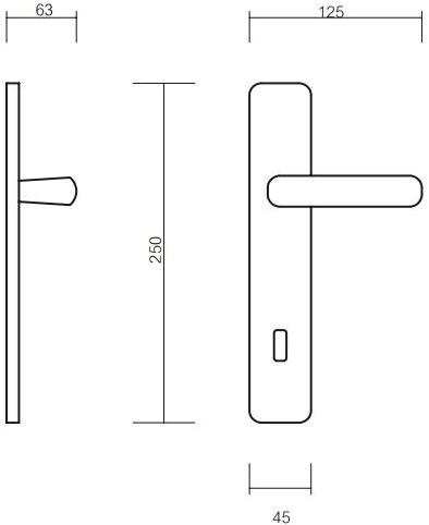 Pasini Ручка из латуни на пластине с накладкой Valencia 1010 - Вид №1