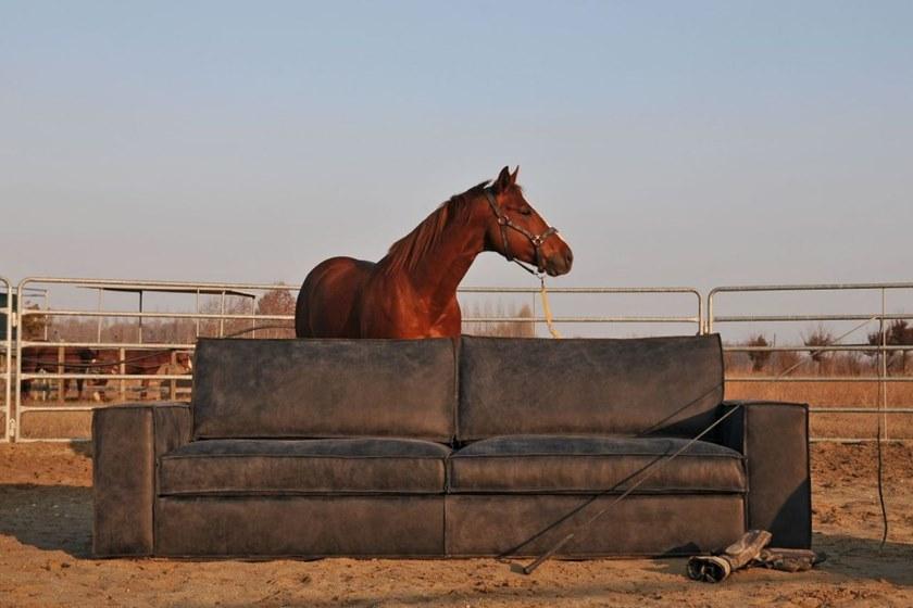 Gobbo Salotti 3-х местный кожаный диван sun-id-1425794 - Вид №2