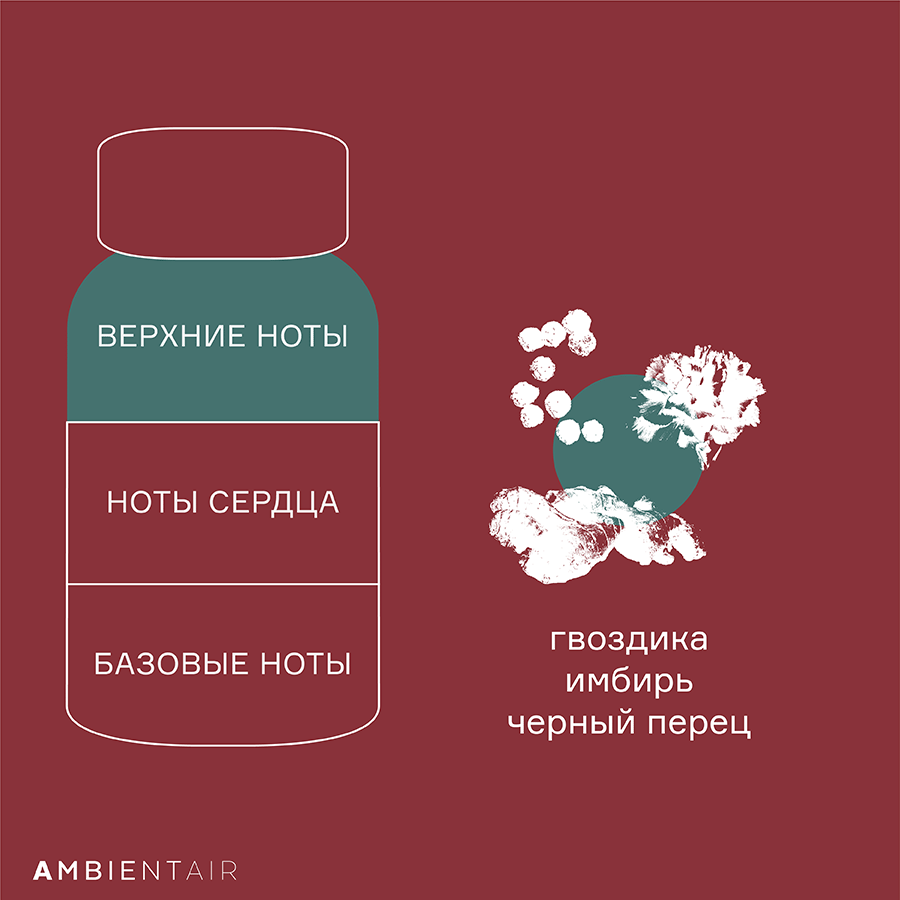 MK100GBTO Диффузор ароматический gifting, Имбирное печенье, 100 мл Ambientair  - Вид №4