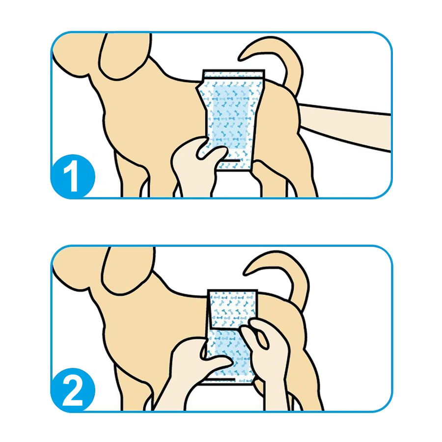 ПР0046997 Пояса Male Diaper одноразовые впитывающие для кобелей размер XS, 12шт PET SOFT  - Вид №1