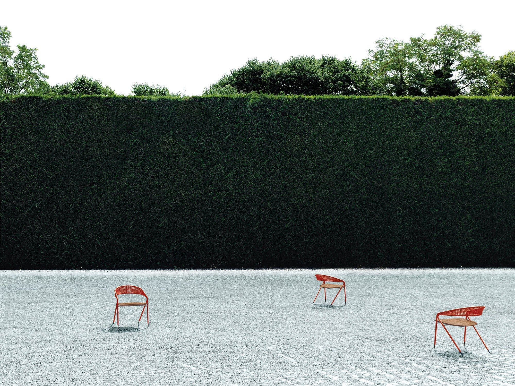 Кожаный стул с подлокотниками Living Divani GEORGE'S ARCH-00064064 - Вид №6