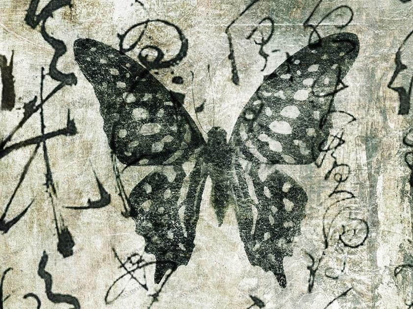 MOMENTI Художественная печать Crazy home paintings 085