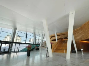 BARRISOL Акустический натяжной потолок из ПВХ для интерьеров