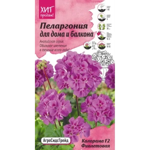 Пеларгония «Колорама» фиолетовая F2 82481706 STLM-2121487