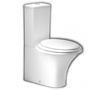 YXZ401 Sculture Одноблочный унитаз с универсальным сливом Hatria