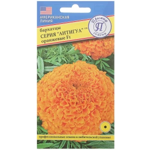 Бархатцы прямостоящие «Антигуа F1» цвет оранжевый