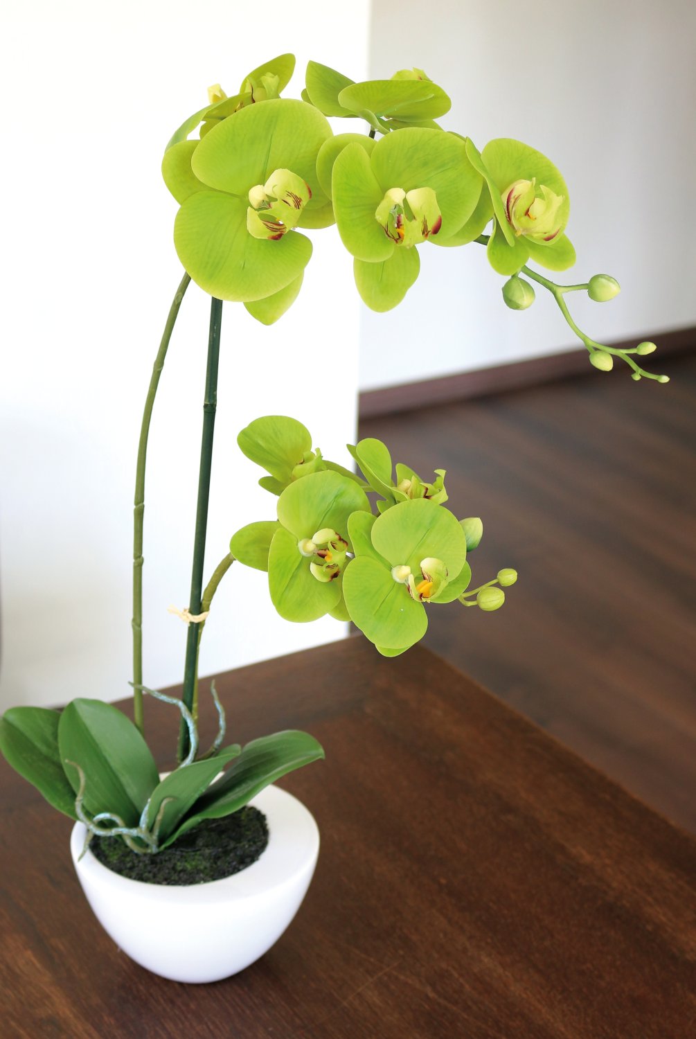 2606 883 a3 Пластиковая орхидея Phalaenopsis, горшечная, 55 см, real touch soft, зеленая H-andreas  - Вид №4