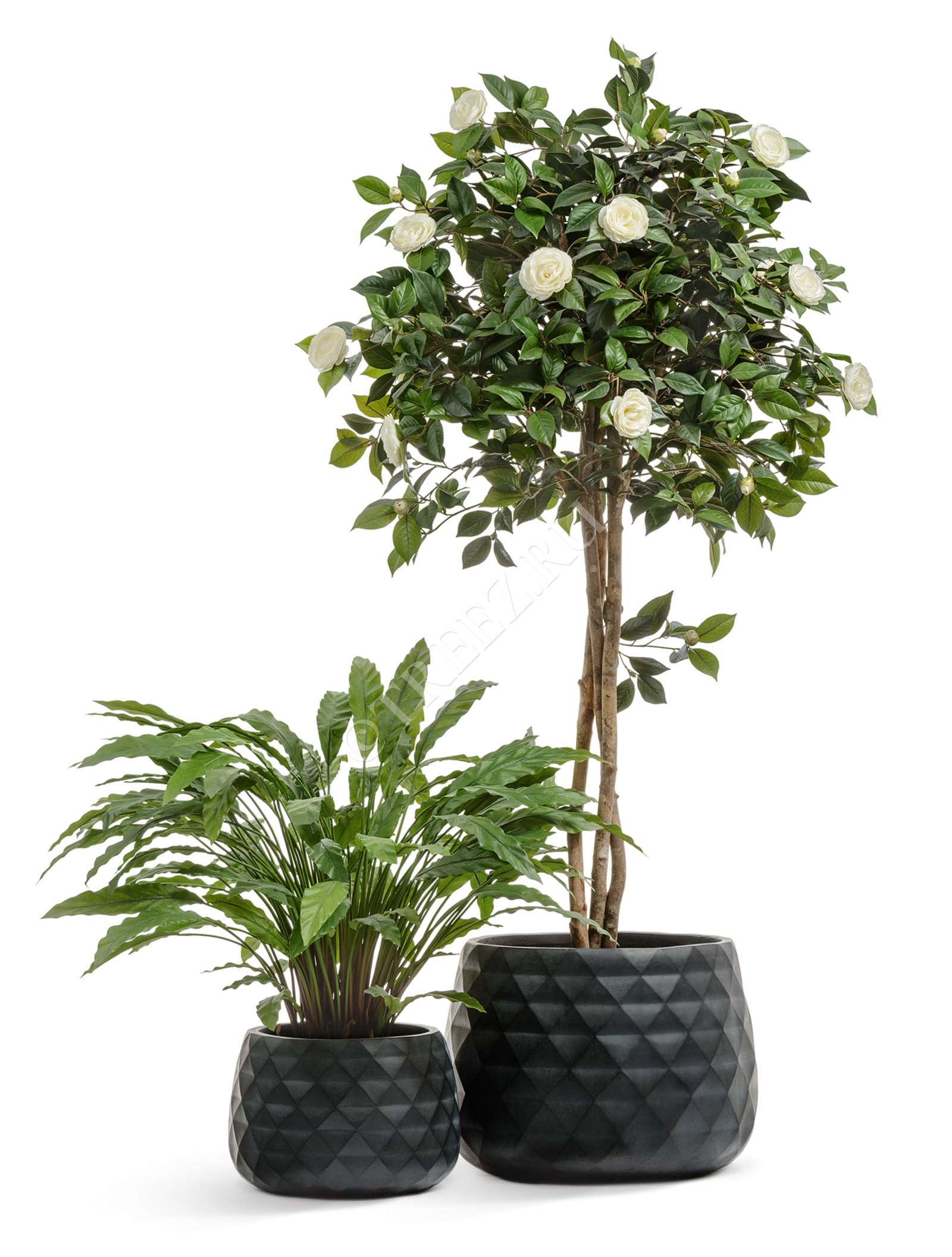 41.1020-0036-BLCK-24 Кашпо  ERGO - серия Diamond - Низкая чаша - Антрацит Цветочная коллекция  - Вид №3