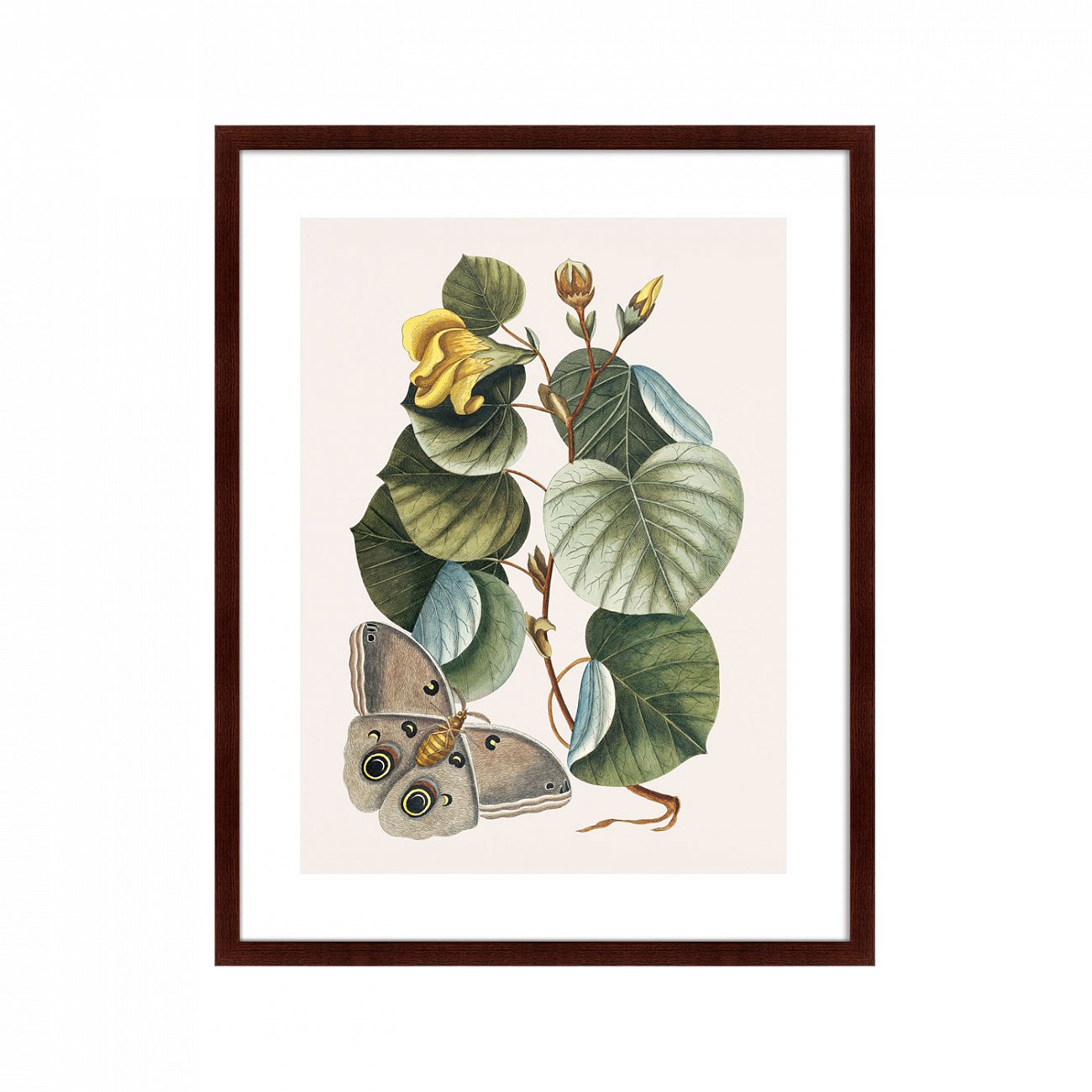 Картина: Beauty bloom №3, 1732г. КАРТИНЫ В КВАРТИРУ  264203 Разноцветный  - Вид №1