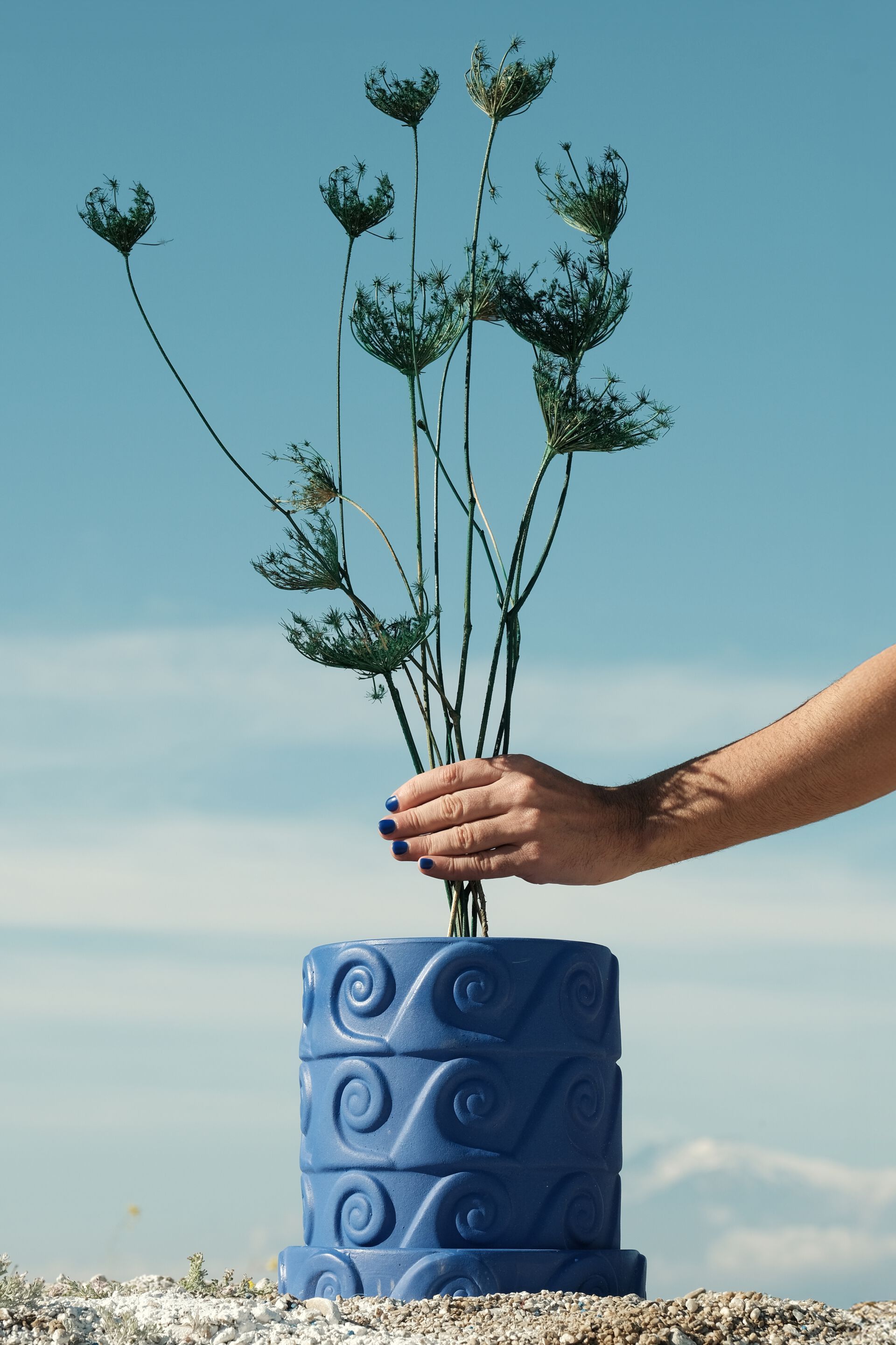 Терракотовый горшок Seletti Magna Graecia Cobalt ARCH-00035982 - Вид №5