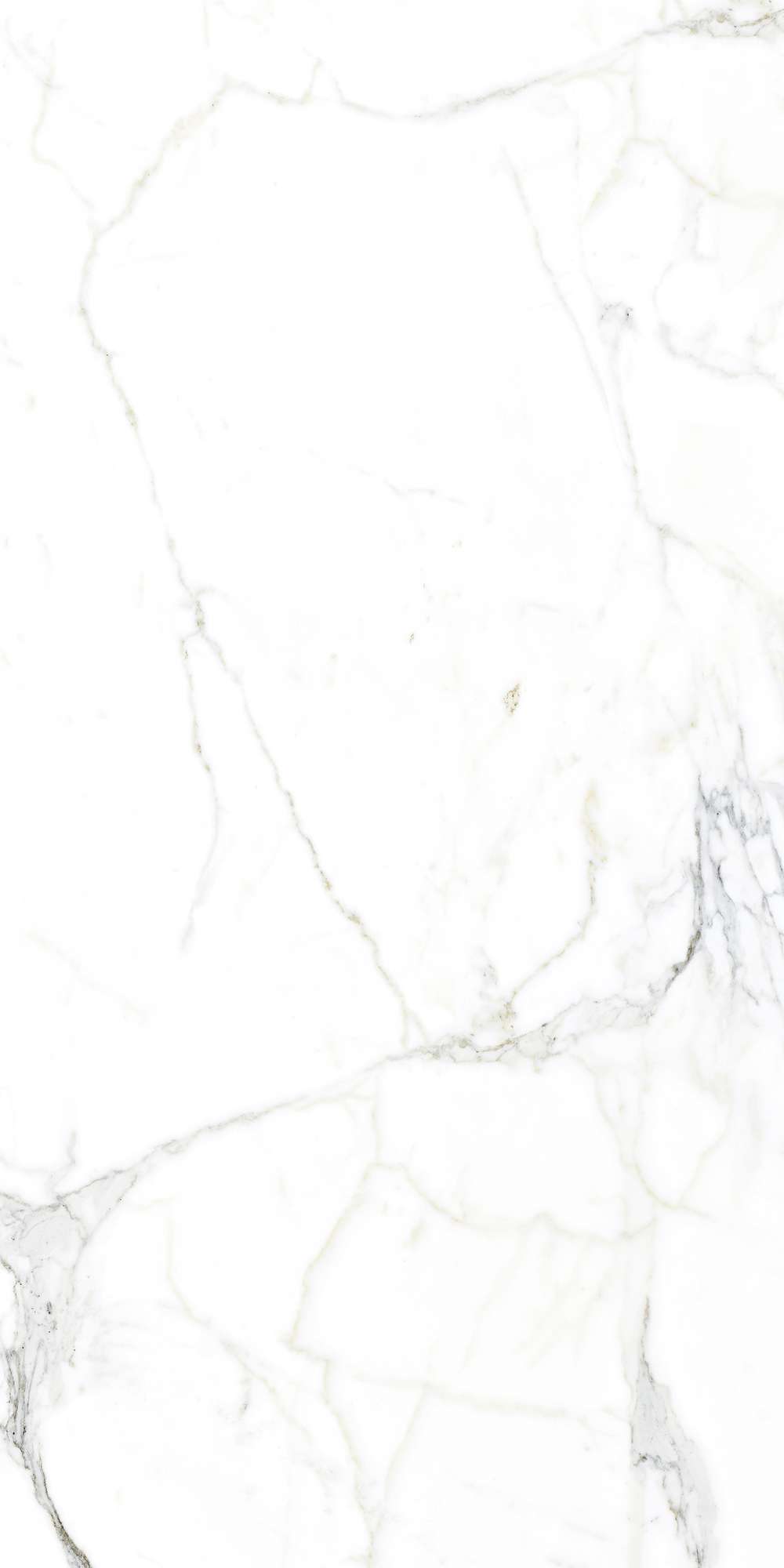 LUCE STATUARIO — Элегантность мрамора в вашем интерьере FP1002-A Arcadia Ceramica - Вид №1