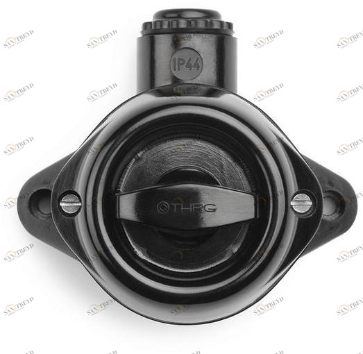 THPG Переключатель  100831 