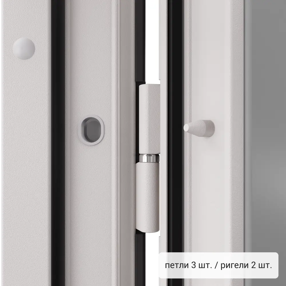 Дверь входная металлическая Фолд тэя 880 мм левая TOREX STLM-2184690 - Вид №6