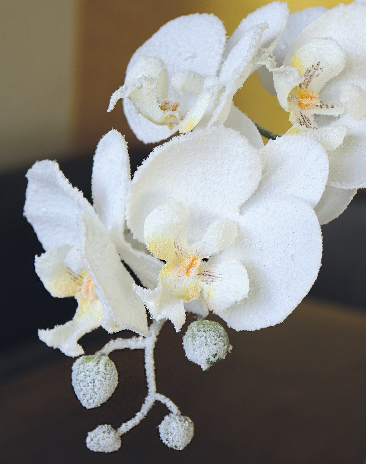 2970 799 a3 Пластиковая орхидея Phalaenopsis, матовая, в горшке, 58 см, белая матовая H-andreas  - Вид №1