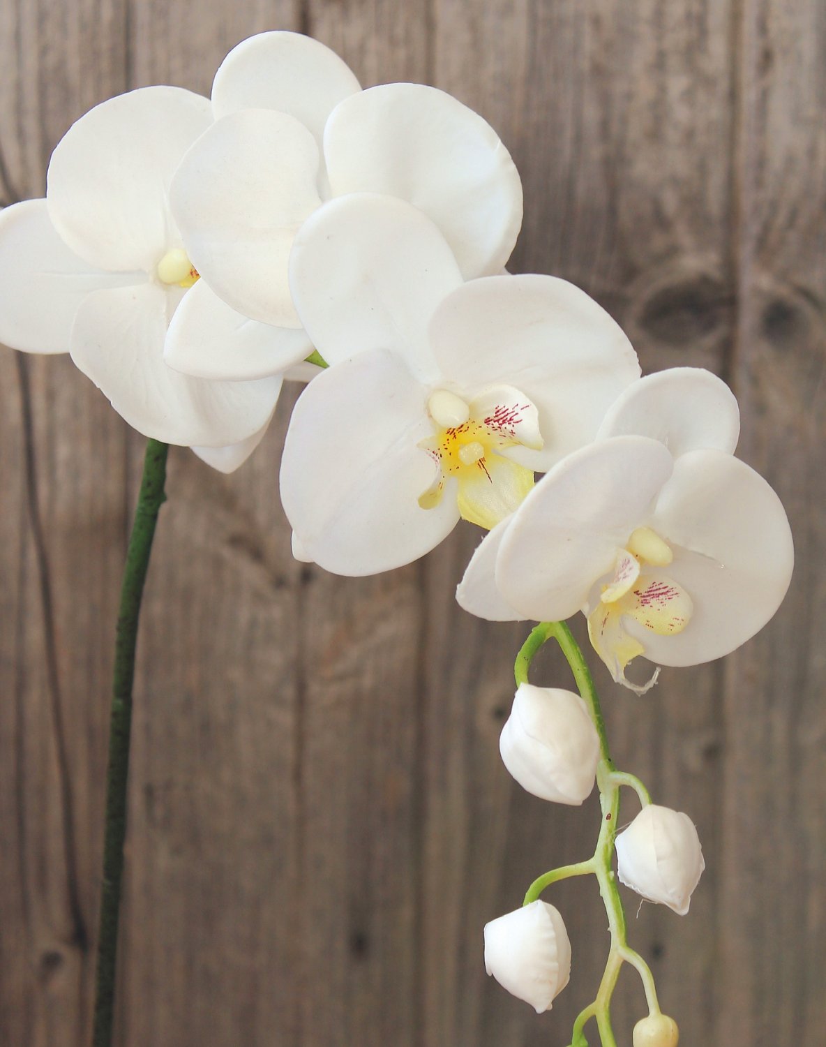 9701 778 a3 Пластиковая орхидея Phalaenopsis, горшечная, 56 см, real touch, бежево-белая H-andreas  - Вид №2