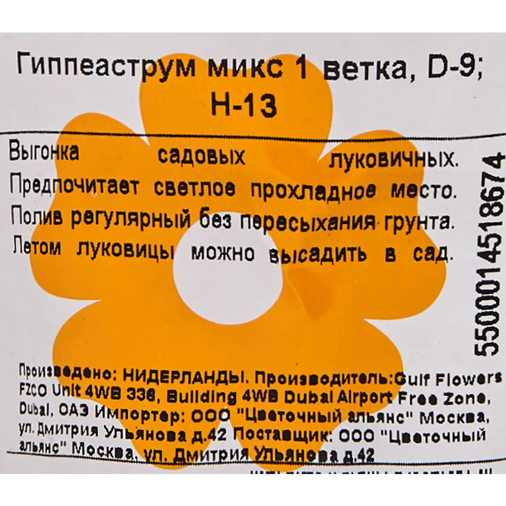 Гиппеаструм Микс 9x13 см 83060737 STLM-2032343 Santreyd  - Вид №3
